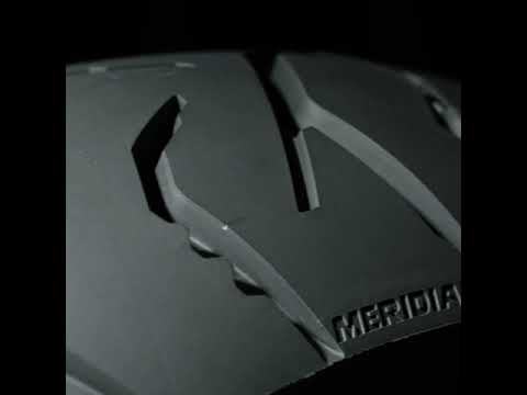 Dunlop TrailMAX Meridian