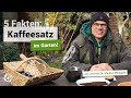 Einsatz von kaffeesatz im garten 5 fakten  gardify tipps