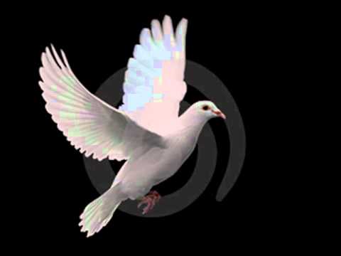 Sleduj Olimpo Cárdenas   Pajarillo, Pajarillo   Colección Lujomar na YouTube