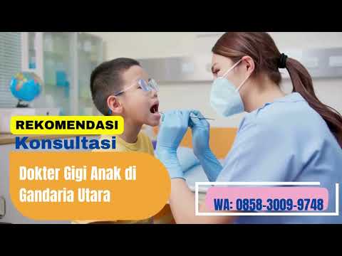 0858 3009 9748          