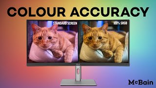 What Makes a Monitor BETTER for Photography?