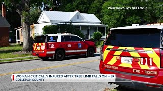 Woman critically injured after tree limbs falls on her