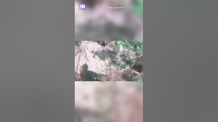 Terrified Russian soldier runs for his life after a Ukrainian drone explodes in front of him