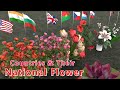 National Flower of the  Countries
