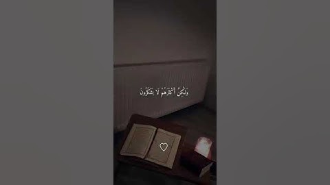 أرح قلبك قليلا من زحمة الحياة ♥️#تلاوات_خاشعة #مصحف_المدينة #راحة_نفسية