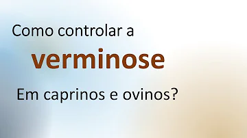 Quais as definições de conceitos zootécnicos em ovinos e caprinos?