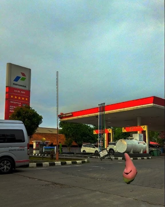 Story' wa panda joget terbaru 2022