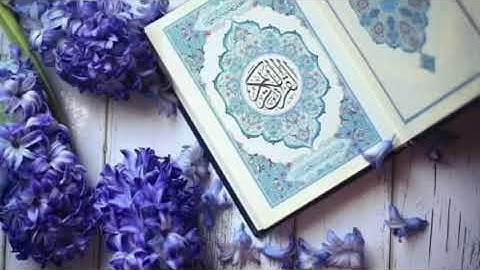 سورة النور - سعد الغامدي