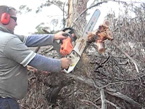 Baumr-Ag PRO SX62 62cc 22in Bar Chainsaw In Action