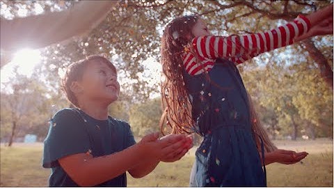 Understanding Autism