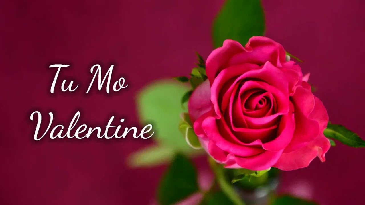 tu mo valentine valentine day special slowed reverb song 