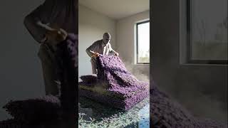 Lavender Bed Asmr The Ultimate Calm Sleep