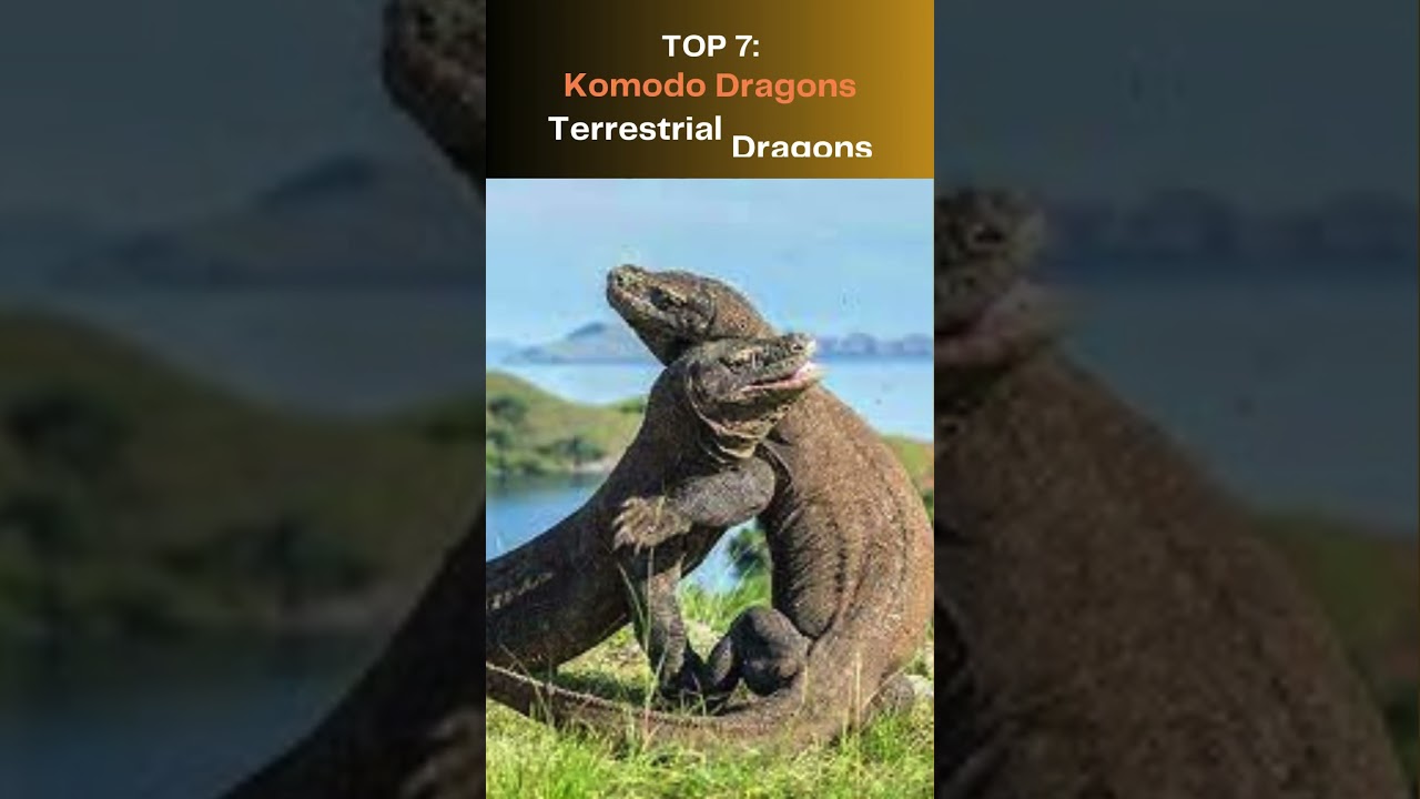 10 Cryptids That Turned Out To Actually Exist