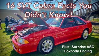 16 Facts About the '93 SVT Cobra You Didn't Know  with Mark Wilson of Ford Performance!