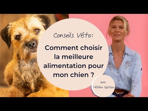 Vidéo: Choisissez le meilleur aliment pour votre chien