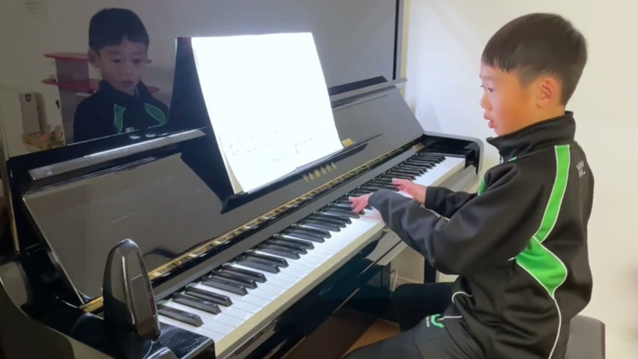 Haydn - Minuet and Trio (Haoyu)