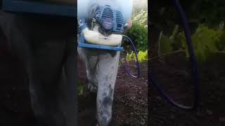 Kalecik Bağ İlaçlama