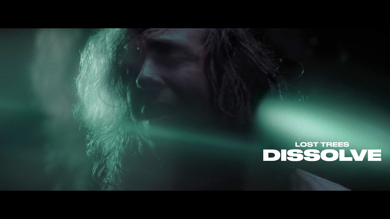 Lost Trees Dissolve (OFFICIAL MUSIC VIDEO) YouTube