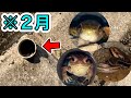 冬の排水パイプは色んな生き物が住みついています！