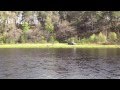 Fishing The Beauly Fishing The Beauly