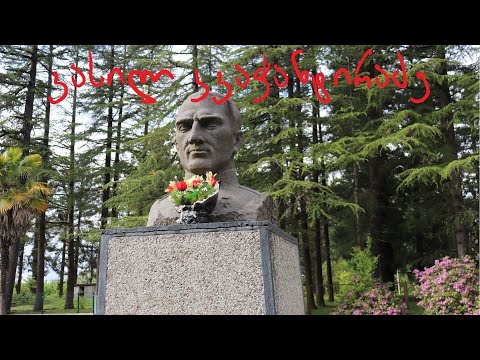 სნაიპერი ვასილ კვაჭანტირაძე - \"მეომრების ქვეყანა\"