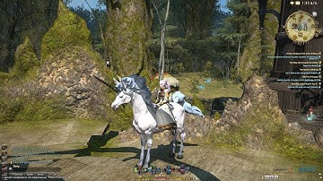「Final Fantasy XIV」A Realm Reborn: How to get the Unicorn Mount (PS4)