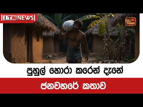 පුහුල් හොරා කරෙන් දැනේ ජනවහරේ කතාව