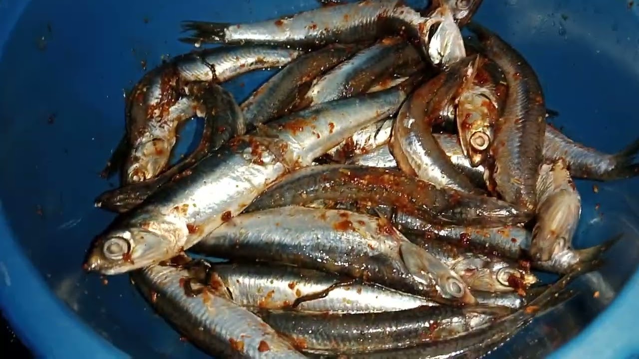 خوتي العزاز شاركت معكم الفطور ديالي 👍👍🤲🌄🌄 🍅🍅🍅😋😋🥀💐🤲🤲🤲