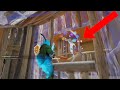Fortnite Montage 51