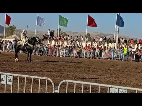 عبدالله بن بيه أسد التبوريدة المغربية من مهرجان التكنة عبدالله بن بيه أسد التبوريدة المغربية من مهرجان التكنة