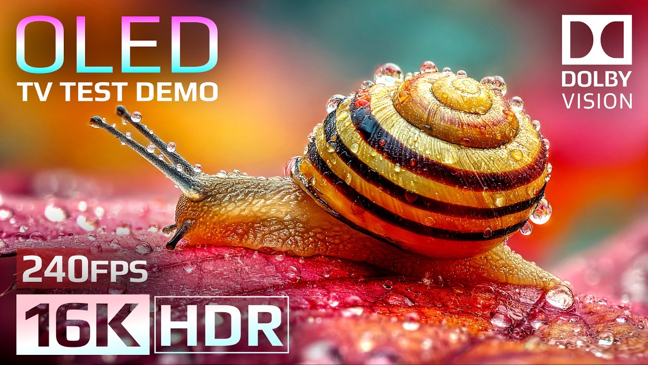 16K HDR 240fps OLED Test Demo | Ultimate Dolby Vision™ Experience
