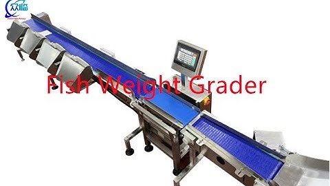Fish weight grader, fish weight sorter, fish grader, fish sorter, fish grading machine, fish sorting