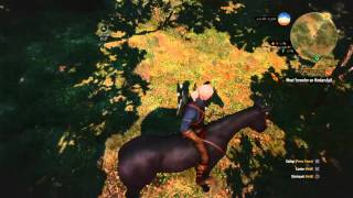 The Witcher 3: Wild Hunt Roach glitch