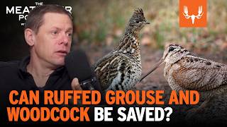 Can Ruffed Grouse and Woodcock Be Saved? | The MeatEater Podcast Ep. 845