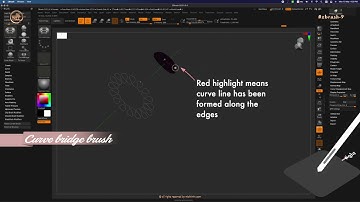 ZB_09.14 | How to use curve bridge brush and delete this curve