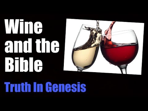 the wine bible 3rd edition