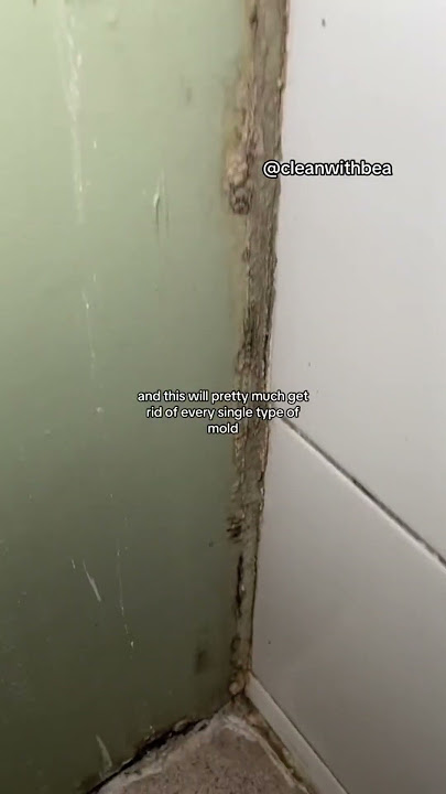 How I get Rid of Mould  #cleaningtransformation #mold  #beforeandafter