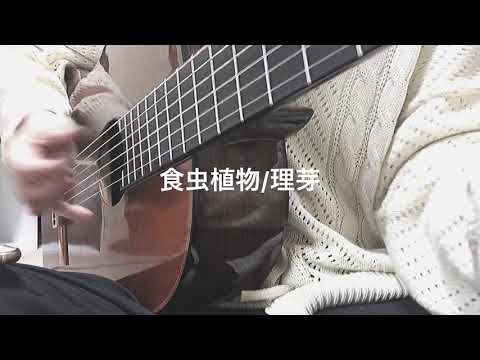 食虫植物　理芽　弾き語りcover