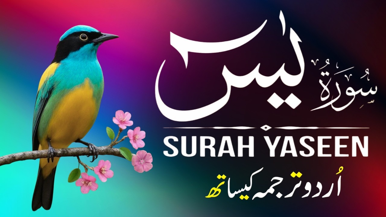 Surah Yaseen | Surah Yaseen With Urdu Translation | Al Furqan Studio | Ep111