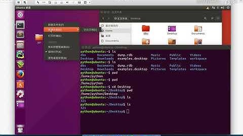 Python从入门到精通  16 16 Linux命令 04 6个常见终端命令简单演练