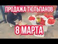 ПРОДАЖА ТЮЛЬПАНОВ НА 8 МАРТА КАК БИЗНЕС. РЕКОМЕНДАЦИИ. ЗАРАБОТОК