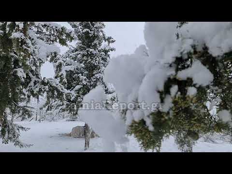 LamiaReport.gr: Ποιος ευχαριστήθηκε περισσότερο το χιόνι? - Όμορφες στιγμές