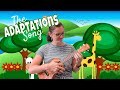 Adaptations and Survival Quiz