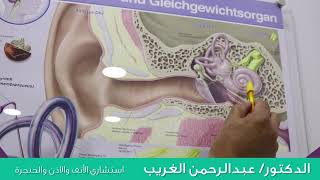 دكتور عبد الرحمن الغريب - مشاكل التوازن في الأذن الداخلية وليس الوسطى