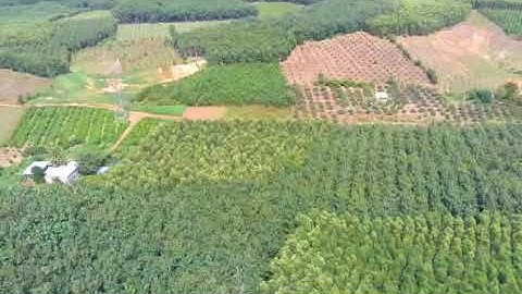 7000m2 đất xã Trị An, huyện Vĩnh Cửu giá 2,2 tỷ