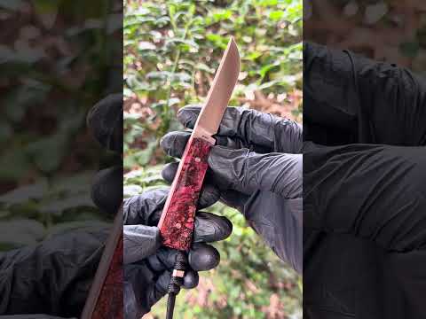 Presenting Pioneer FIXedc in Red Abalone