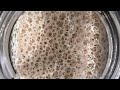 Crazy STARTER TIME LAPSE - See a sourdough starter TIME LAPSE