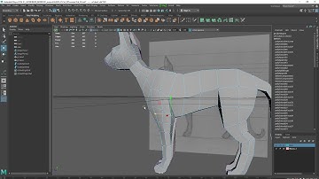 3D lecture MAYA Cat Modeling - Part 4