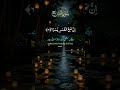 سورۃ الشرح with beautiful voice islamic video #viralreel #trendingshorts