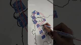 Toprak coğrafyası #shortvideo #youtube #coğrafya #bilgi #eğitim